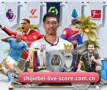 FIFA2026WorldCup官方授权买球网站手机版 APP