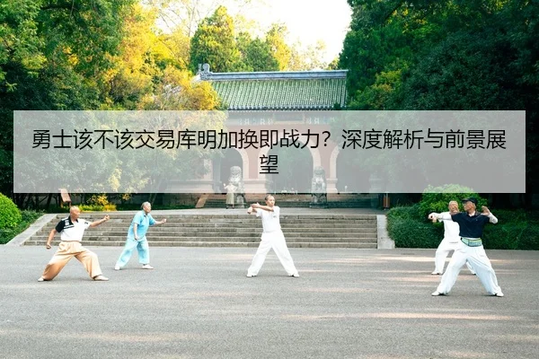 勇士该不该交易库明加换即战力？深度解析与前景展望